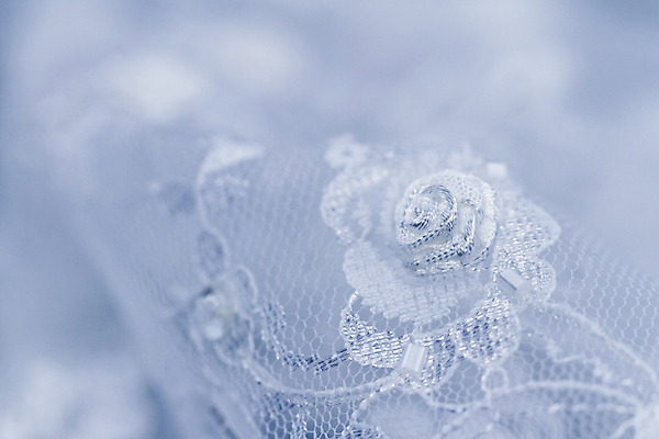 포토 JPG 해외이미지 디자인 드레스 옷 꽃 결혼 백그라운드 패턴 추상 사람없음 장식 파란색 빛 장미 유행 직물 면 우아함 실크 묘사 질감 전용 스타일 해외202004 해외포토 식물 컬러 컨셉 무늬 이벤트 파일형식 이미지허브