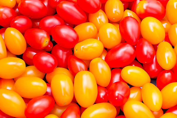 포토 JPG 해외이미지 음식 토마토 채소 건강 사람없음 빨간색 노란색 신선 유기농 날것 숙성 채식주의자 해외202004 해외포토 웰빙 컬러 채식 파일형식 이미지허브