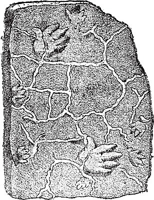 EPS 해외이미지 동물 과학 패턴 일러스트 생물 종류 양서류 미술 검은색 수확 골동품 성장 흰색 발자국 그림 생물학 화석 고생물 사암 판화 멸종 석탄 옛날 해외202004 해외일러스트 교육 컬러 무늬 농업 자국 문화예술 돌_바위 파일형식 벡터 이미지허브