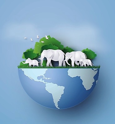 EPS 해외이미지 나무 동물 공원 야생동물 일러스트 포유류 아프리카 자연 코끼리 풍경 야외 세계 큼 사파리 케냐 전국 해외202004 해외일러스트 식물 공공시설 나라 크기 생태계 파일형식 벡터 이미지허브