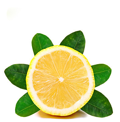 포토 JPG 해외이미지 과일 건강 사람없음 노란색 수확 지중해 레몬 유기농 성분 건강식 비타민C 해외202004 해외포토 웰빙 음식 바다 컬러 농업 비타민 파일형식 이미지허브