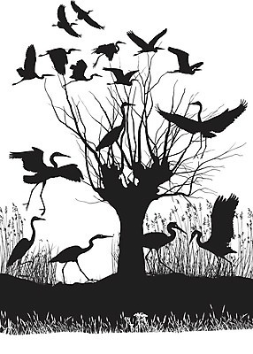 EPS 해외이미지 나무 호수 일러스트 자연 조류 강 검은색 동물상 해외202004 해외일러스트 식물 동물 컬러 조형물 생태계 파일형식 벡터 이미지허브