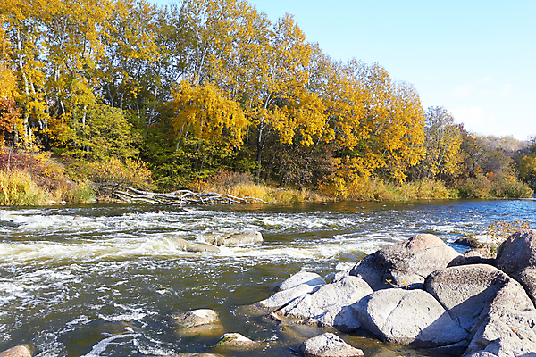 포토 JPG 해외이미지 나무 구름 계절 공원 호수 잎 자연 하늘 파노라마 풍경 사람없음 야외 목재 빨간색 초록색 물 파란색 강 반사 노란색 거울 가을 시골 연못 황무지 황금 숲 강가 낚시꾼 러시아인 해외202004 해외포토 자연요소 서양인 식물 공공시설 컬러 재료 촬영기법 생태계 파일형식 이미지허브