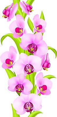 EPS 해외이미지 식물 꽃 파도 분홍색 백그라운드 잎 꽃무늬 패턴 일러스트 추상 장식 빨간색 세로 여름 우주 보라색 화환 페인트 봄 줄무늬 소용돌이 하트 그리기 난초 타일 오브젝트 그림 질감 내추럴 고립 이국적 현실 해외202004 해외일러스트 모양 계절 바다 컬러 무늬 모션 회오리 파일형식 벡터 이미지허브