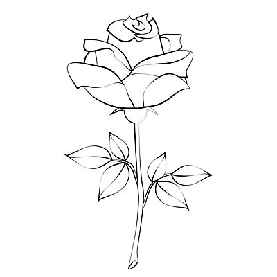 EPS 해외이미지 식물 디자인 꽃잎 꽃 실루엣 종이 백그라운드 잎 꽃무늬 패턴 일러스트 자연 벽지 추상 휴가 발렌타인데이 선물 미술 그래픽 장식 여름 장미 펜 정원 검은색 페인트 봄 수확 벚꽃 흰색 화려 스케치 심볼 그림 복고 윤곽 내추럴 고립 옛날 스타일 해외202004 해외일러스트 계절 컬러 컨셉 무늬 농업 데이이벤트 문화예술 촬영기법 필기구 생태계 파일형식 벡터 이미지허브