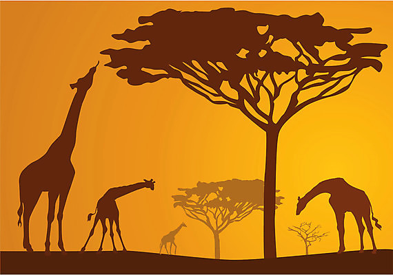 EPS 해외이미지 나무 식물 동물 디자인 공원 실루엣 야생동물 여행 백그라운드 오렌지 일러스트 아프리카 자연 아침 코끼리 미술 풍경 가로 여름 햇빛 태양 노란색 일출 검은색 황혼 일몰 새벽 뜨거움 황금 땅 기린 사파리 그림 클립 분화구 케냐 아카시아 7 광 세렝게티 전국 탄자니아 해외202004 해외일러스트 주간 자연요소 계절 공공시설 나라 컬러 과일 포유류 문화예술 촬영기법 숫자 노을 생태계 화산 파일형식 벡터 이미지허브