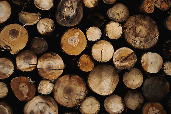 포토 JPG 해외이미지 모양 나무 디자인 산업 벽 백그라운드 패턴 자연 추상 미술 사람없음 목재 갈색 쌓기 시골 소나무 원형 주식 숲 장작 자르기 질감 통나무 잡동사니 벌목 수목 옛날 해외202004 해외포토 도형 식물 컬러 무늬 재료 모션 문화예술 금융 생태계 파일형식 이미지허브