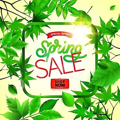 EPS 해외이미지 식물 템플릿 디자인 배너 계절 포스터 백그라운드 컨셉 스티커 잎 꽃무늬 밭 일러스트 텍스트 자연 추상 프레임 장식 초록색 여름 빛 쇼핑 유행 라벨 세일 봄 성장 나뭇가지 신선 우아함 숲 편지 상품권 배지 내추럴 양치류 증명서 특별함 레터링 해외202004 해외일러스트 나무 꽃 컬러 무늬 농업 생태계 파일형식 벡터 이미지허브