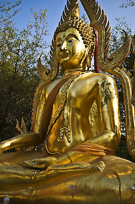 포토 JPG 해외이미지 나무 디자인 행복 아시아 종교 문화 얼굴 선 조각 여행 백그라운드 불교 태국 미술 사람 앉기 동양인 사람없음 조각상 숫자 평화 중국 골동품 기도 사찰 영혼 황금 명상 숭배 신앙심 해외202004 해외포토 식물 문자 감정 나라 컨셉 종교건축 모션 문화예술 인종 신체부위 조형물 파일형식 이미지허브