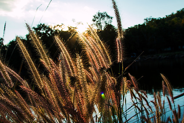 포토 JPG 해외이미지 식물 구름 계절 여행 백그라운드 밭 오렌지 자연 하늘 아침 날씨 산 풍경 사람없음 야외 초록색 여름 빛 컬러풀 햇빛 태양 농장 노란색 일출 환경 계곡 일몰 봄 새벽 시골 신선 저녁 숲 땅 장면 내추럴 산악지대 넘어짐 수평선 해외202004 해외포토 주간 자연요소 컬러 농업 과일 모션 노을 야간 생태계 파일형식 이미지허브