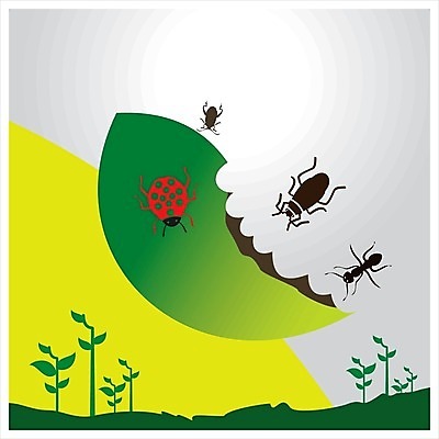 EPS 해외이미지 나무 식물 꽃 화분 음식 곤충 포크 농업 인터넷 채소 과일 일러스트 자연 부츠 씨앗 물 울타리 픽토그램 태양 정원 웹 수레 물뿌리개 도구 해충 벌레 모종삽 심볼 유기농 원예 무당벌레 채소밭 묘목 해외202004 해외일러스트 자연요소 동물 식기 웰빙 산업 신발 밭 취미 담장 카트 삽 생태계 파일형식 벡터 이미지허브