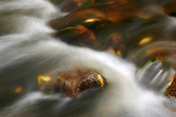 포토 JPG 해외이미지 계절 공원 백그라운드 잎 모션 자연 조류 산 풍경 사람없음 야외 물 강 노란색 환경 화목 침묵 봄 폭포 젖음 흐름 자유 가을 바위 개울 급류 연기 떨어짐 매끈함 숲 속도 상쾌 테라피 오르막 무료 해외202004 해외포토 자연요소 식물 동물 공공시설 감정 컬러 컨셉 뷰티 소리 돌_바위 감각 생태계 파일형식 이미지허브