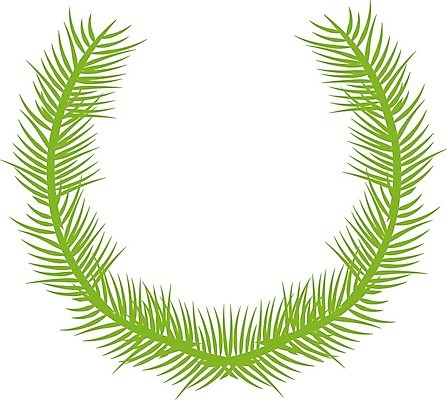 EPS 해외이미지 식물 디자인 계절 꽃다발 잎 꽃무늬 일러스트 자연 미술 장식 초록색 정원 흰색 우아함 허브 내추럴 고립 양치류 엘리먼트 유칼립투스 그리너리 해외202004 해외일러스트 꽃 컬러 컨셉 무늬 문화예술 생태계 파일형식 벡터 트랜드컬러 이미지허브