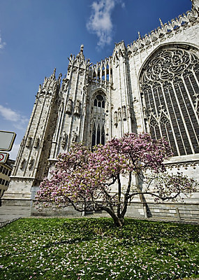 포토 JPG 해외이미지 나무 꽃 유럽 기독교 종교 조각 여행 건축양식 하늘 지붕 사람없음 파란색 성당 교회 탑 봄 이탈리아 벚꽃 신선 도시 정사각형 대성당 신성 밀라노 해외202004 해외포토 도형 식물 건축물 계절 건축 나라 컬러 종교건축 건물 파일형식 이미지허브