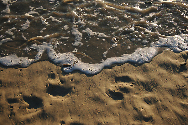 포토 JPG 해외이미지 선 모래 바다 이동 패턴 사람없음 물 여름 일몰 줄무늬 거품 흐름 입자 인쇄 발자국 질감 카피스페이스 해외202004 해외포토 자연요소 계절 컨셉 무늬 자국 노을 공백 파일형식 이미지허브