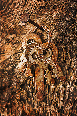 포토 JPG 해외이미지 열쇠 주택 사람없음 울타리 문 수확 판넬 닫기 손톱 복고 잠금 옛날 해외202004 해외포토 손 농업 모션 건물 담장 보안 파일형식 이미지허브