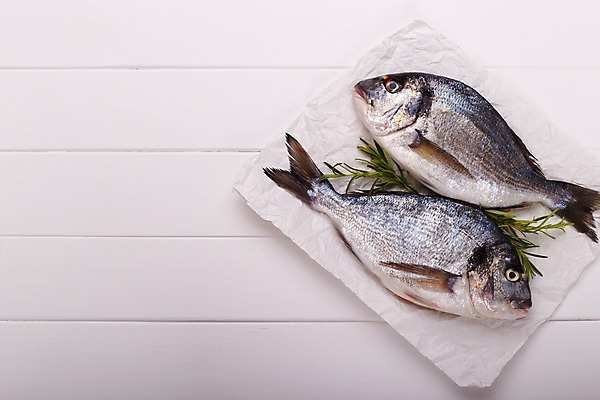 포토 JPG 해외이미지 사람없음 흰배경 날것 도미 로즈메리 해외202004 해외포토 백그라운드 어류 흰색 허브 파일형식 이미지허브