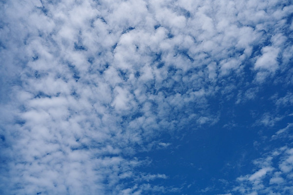 포토 JPG 해외이미지 구름 백그라운드 자연 하늘 날씨 추상 기술 파노라마 풍경 사람없음 야외 여름 파란색 빛 햇빛 환경 맑음 흰색 분위기 순수 찢어짐 천국 솜털 흐림 내추럴 몽환 해외202004 해외포토 자연요소 계절 컬러 컨셉 무늬 모션 촬영기법 태양 생태계 파일형식 이미지허브