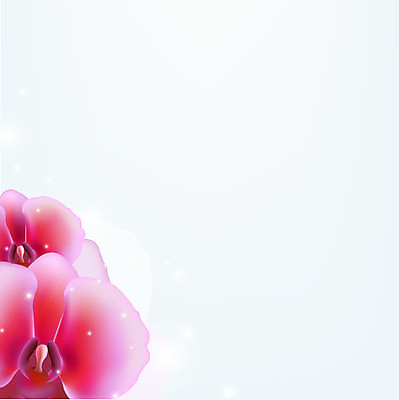 EPS 해외이미지 식물 계절 기념일 꽃잎 꽃 별 줄기 분홍색 백그라운드 일러스트 발렌타인데이 장식 컬러풀 머리 평화 보라색 봄 활발 벚꽃 흰색 물방울 나뭇가지 신선 신용카드 난초 제비꽃 오브젝트 싱글 심플 호접란 고립 블러 해외202004 해외일러스트 자연요소 나무 컬러 컨셉 데이이벤트 이벤트 신체부위 금융 파일형식 벡터 이미지허브