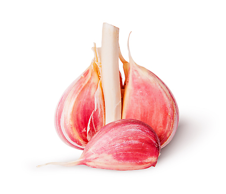 포토 JPG 해외이미지 식물 음식 백그라운드 잎 채소 전구 부분 건강 마늘 사람없음 식사 침묵 수확 흰색 신선 향신료 오브젝트 유기농 내추럴 고립 숙성 해외202004 해외포토 웰빙 컬러 농업 소리 향미료 파일형식 이미지허브