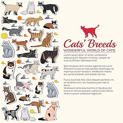 EPS 해외이미지 클립아트 백그라운드 일러스트 영국 털 요정 서기 앉기 세트 걷기 고양이 숲 만화 육식동물 사냥꾼 얼룩무늬 스핑크스 생강 거짓말 경보 고립 동반자 사바나 설피 시베리아 엘리먼트 유래 충실 해외202004 해외일러스트 동물 직업 유럽 무늬 채소 포유류 모션 이집트 반려동물 파일형식 벡터 이미지허브