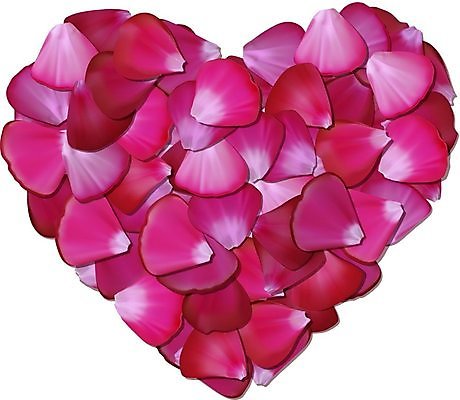 EPS 해외이미지 모양 디자인 꽃잎 꽃 분홍색 결혼 백그라운드 컨셉 꽃무늬 일러스트 자연 추상 휴가 발렌타인데이 선물 사랑 그래픽 장식 장미 흰색 하트 축하 신선 신용카드 그룹 심볼 오브젝트 사인 싱글 그림 슛 열정 창백 해외202004 해외일러스트 식물 감정 컬러 무늬 데이이벤트 이벤트 금융 생태계 파일형식 벡터 이미지허브