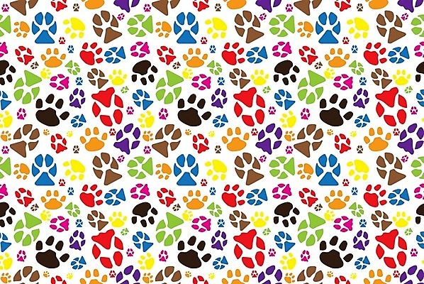 EPS 해외이미지 동물 디자인 실루엣 야생동물 분홍색 백그라운드 패턴 일러스트 포유류 자연 추상 그래픽 빨간색 초록색 파란색 반려동물 세트 갈색 노란색 검은색 고양이 흰색 개 강아지 인쇄 발자국 수집 심볼 타일 질감 발가락 단계 고립 양발 집게발 해외202004 해외일러스트 컬러 무늬 자국 발 촬영기법 생태계 파일형식 벡터 이미지허브