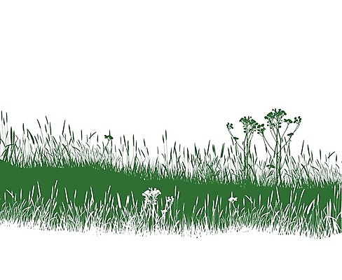 EPS 해외이미지 식물 꽃 백그라운드 일러스트 자연 미술 초록색 해외202004 해외일러스트 컬러 문화예술 생태계 파일형식 벡터 이미지허브