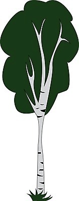 EPS 해외이미지 모양 나무 식물 디자인 계절 공원 실루엣 줄기 백그라운드 잎 패턴 일러스트 자연 미술 풍경 목재 그래픽 장식 초록색 여름 빛 환경 검은색 봄 흰색 나뭇가지 은색 숲 그림 질감 자작나무 내추럴 고립 엘리먼트 해외202004 해외일러스트 공공시설 컬러 무늬 재료 문화예술 촬영기법 생태계 파일형식 벡터 이미지허브