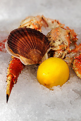 포토 JPG 해외이미지 동물 접시 음식 바다 오렌지 재료 조개 새우 연체동물 종류 갑각류 요리 사람없음 빨간색 상점 냉동 얼음 저녁식사 게 껍질 굴 흰색 신선 그룹 시장 고급 바닷가재 지중해 레몬 해산물 서리 날것 홍합 삶기 집게발 해외202004 해외포토 자연요소 식기 컬러 컨셉 과일 어패류 무척추동물 식사 가재 파일형식 이미지허브