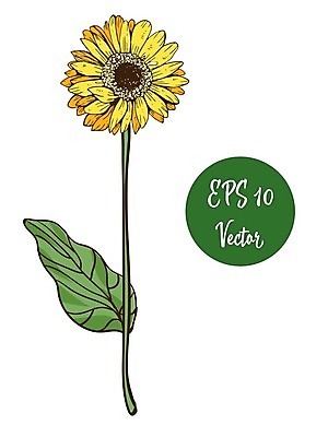 EPS 해외이미지 1 디자인 기념일 꽃잎 꽃 줄기 꽃다발 백그라운드 컨셉 잎 꽃무늬 데이트 일러스트 자연 휴가 발렌타인데이 선물 사랑 미술 장식 초록색 여름 노란색 정원 벚꽃 흰색 축하 신선 오픈 심볼 오브젝트 싱글 데이지 열정 고립 스타일 해외202004 해외일러스트 식물 계절 감정 컬러 무늬 데이이벤트 문화예술 이벤트 생태계 파일형식 벡터 이미지허브