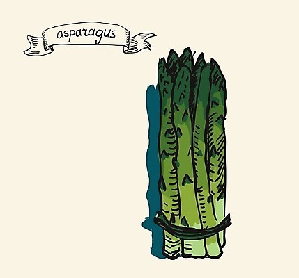 EPS 해외이미지 디자인 계절 창 음식 줄기 백그라운드 다이어트 채소 일러스트 재료 자연 수채화 건강 요리 초록색 새싹 식당 식사 페인트 샐러드 성장 흰색 신선 낙서 수증기 다발 메뉴 그림 유기농 아스파라거스 날것 내추럴 고립 생식 채식주의자 총쏘기 해외202004 해외일러스트 식물 웰빙 무기 컬러 모션 상점 생태계 채식 파일형식 벡터 이미지허브