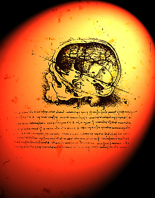 포토 JPG 해외이미지 남자 종이 백그라운드 밭 신체 건축양식 해부 미술 사람 사람없음 금속 이탈리아 원형 클래식 닫기 심볼 묘사 그림 질감 생물학 정사각형 깊이 옛날 회복 해외202004 해외포토 도형 교육 건축 유럽 컨셉 농업 의학 모션 재질 문화예술 파일형식 이미지허브