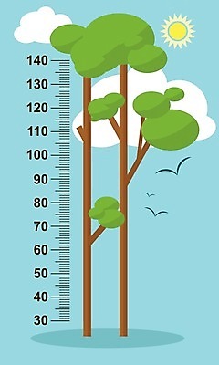 EPS 해외이미지 나무 구름 디자인 벽 백그라운드 일러스트 자연 조류 초록색 태양 성장 나뭇가지 큼 고도 측정 눈금 복고 치수 길이 계량기 흥미 해외202004 해외일러스트 자연요소 식물 동물 컬러 컨셉 크기 생태계 파일형식 벡터 이미지허브