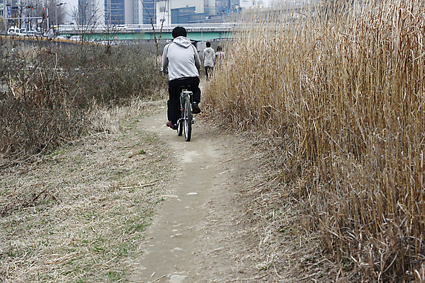 포토 JPG 해외이미지 길 잎 겨울 휴식 건조 한국 건강 풍경 사람없음 강 운동 갈색 자전거 시골 강가 오솔길 사이클링 해외202004 해외포토 식물 계절 아시아 컬러 컨셉 바이크 육상스포츠 파일형식 나라 육상교통 스포츠 교통수단 교통 이미지허브
