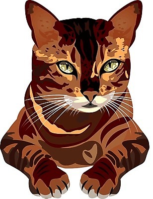 EPS 해외이미지 동물 백그라운드 일러스트 포유류 반려동물 고양이 고립 기르기 해외202004 해외일러스트 돌봄 파일형식 벡터 이미지허브