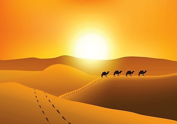 EPS 해외이미지 동물 디자인 실루엣 야생동물 모래 여행 백그라운드 오렌지 일러스트 아프리카 자연 산 건조 파노라마 이집트 풍경 야외 그래픽 여름 노란색 3D 일출 환경 일몰 사막 뜨거움 역사 발자국 이슬람교 만화 땅 모래언덕 언덕 먼지 장면 낙타 가뭄 사하라 사우디아라비아 인터페이스 카라반 행진 수평선 현실 해외202004 해외일러스트 계절 나라 종교 컬러 과일 중동 포유류 자국 모션 날씨 촬영기법 노을 디지털합성 생태계 캠핑카 파일형식 벡터 이미지허브