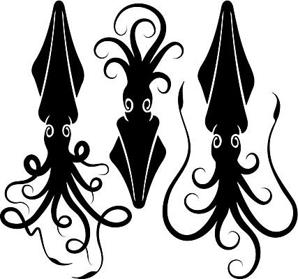 EPS 해외이미지 동물 실루엣 일러스트 3 장식 검은색 오징어 그림 촉수 해외202004 해외일러스트 컬러 연체동물 촬영기법 수중동물 파일형식 벡터 이미지허브