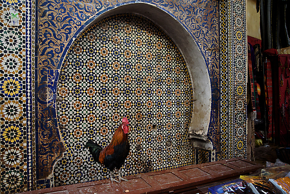 포토 JPG 해외이미지 전통 접시 얼굴 유리 협상 가면 요리 동양인 사람없음 컬러풀 조각상 머리 세일 금속 등불 램프 도시 도자기 그리기 시장 선택 가격 향수 상업 향기 아로마 청동 북쪽 타운 모로코 메디나 아랍어 많음 해외202004 해외포토 식기 컬러 컨셉 비즈니스 모션 아프리카 재질 조명 인종 신체부위 조형물 화장품 방향 냄새 파일형식 이미지허브