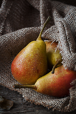 포토 JPG 해외이미지 나무 디자인 음식 백그라운드 컨셉 잎 자연 새로움 사람없음 야외 목재 빨간색 노란색 가을 흰색 달콤 9월 순수 부드러움 8월 10월 엘리먼트 해외202004 해외포토 식물 계절 컬러 재료 감각 날짜 맛 생태계 파일형식 이미지허브