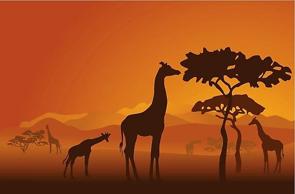 EPS 해외이미지 나무 식물 동물 디자인 공원 실루엣 야생동물 여행 백그라운드 오렌지 일러스트 아프리카 자연 아침 코끼리 미술 풍경 가로 여름 햇빛 태양 노란색 일출 검은색 황혼 일몰 새벽 뜨거움 황금 땅 기린 사파리 그림 클립 분화구 케냐 아카시아 7 광 세렝게티 전국 탄자니아 해외202004 해외일러스트 주간 자연요소 계절 공공시설 나라 컬러 과일 포유류 문화예술 촬영기법 숫자 노을 생태계 화산 파일형식 벡터 이미지허브