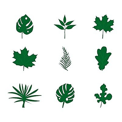 EPS 해외이미지 나무 식물 디자인 계절 공원 리플렛 단풍 잎 꽃무늬 일러스트 자연 손바닥 그래픽 초록색 여름 세트 라벨 정원 봄 줄무늬 신선 플랫 숲 허브 심볼 에코 유기농 생물학 하와이 내추럴 고립 떠남 생태학 이국적 해외202004 해외일러스트 손 웰빙 공공시설 교육 꽃 컬러 무늬 모션 프레임 환경 미국 생태계 파일형식 벡터 이미지허브