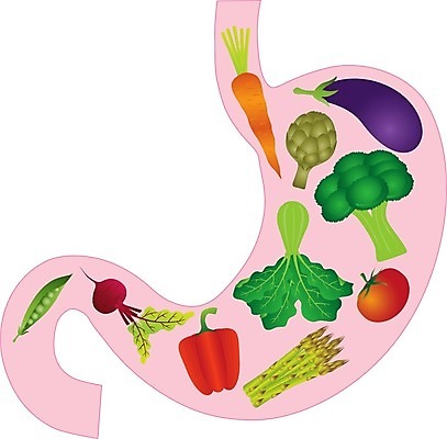 EPS 해외이미지 음식 백그라운드 토마토 채소 일러스트 해부 가지 건강 사람 당근 흰색 오르간 상추 브로콜리 먹기 그림 유기농 완두콩 아스파라거스 근육질 고립 비트 아티초크 채식주의자 케일 비건 해외202004 해외일러스트 웰빙 컬러 의학 모션 근육 콩 뿌리채소 건반악기 몸매 채식 파일형식 벡터 악기 곡류 건반 음악 문화예술 이미지허브