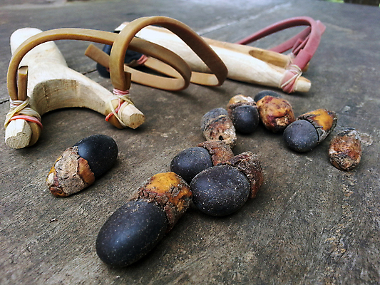 포토 JPG 해외이미지 나무 식물 자연 탁자 불 씨앗 사람없음 목재 검은색 막대기 숲 먼지 해외202004 해외포토 자연요소 컬러 가구 재료 생태계 파일형식 이미지허브