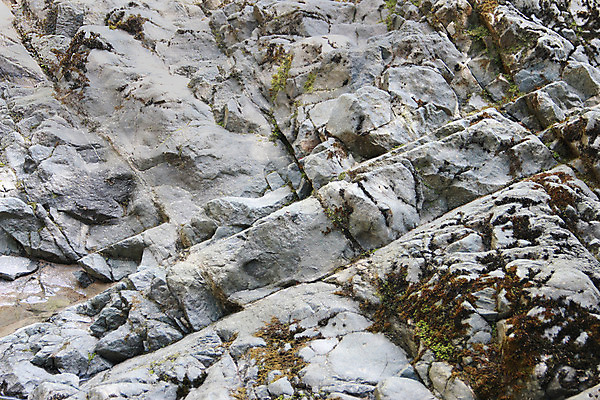포토 JPG 해외이미지 식물 공원 벽 백그라운드 패턴 자연 벽지 표면 추상 산 이끼 풍경 사람없음 야외 초록색 여름 환경 정원 봄 젖음 성장 바위 흰색 신선 거친 황무지 닫기 숲 묘사 질감 내추럴 그런지 땅바닥 옛날 해외202004 해외포토 계절 공공시설 컬러 무늬 모션 바닥 돌_바위 생태계 파일형식 이미지허브