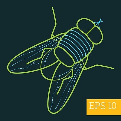 EPS 해외이미지 디자인 선 일러스트 자연 그래픽 픽토그램 주름 해충 벌레 지저분함 심볼 오브젝트 사인 그림 심플 윤곽 고립 얇은 엘리먼트 해외202004 해외일러스트 곤충 감각 생태계 파일형식 벡터 이미지허브