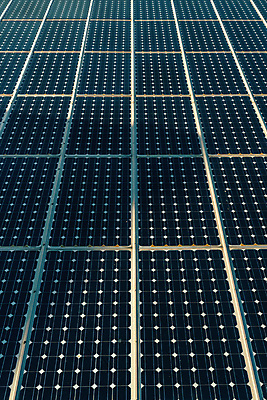 포토 JPG 해외이미지 산업 백그라운드 자연 표면 세포 사람없음 햇빛 태양 환경 힘 재활용 장비 에너지 생태계 태양에너지 유지 패널 생태학 수집가 해외202004 해외포토 자연요소 직업 교육 그린에너지 친환경 파일형식 이미지허브