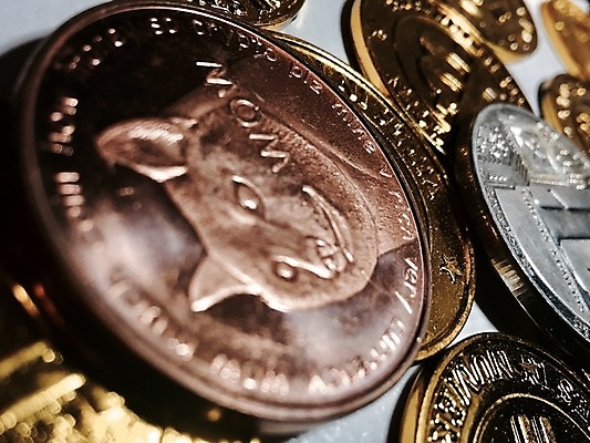 포토 JPG 해외이미지 돈 비즈니스 안전 사람없음 금융 동전 저축 무역 보안 결제 가치 놋쇠 해외202004 해외포토 산업 경제 재산 파일형식 이미지허브