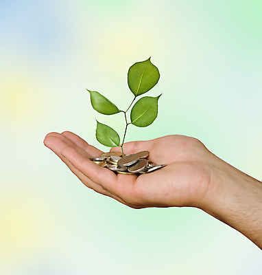 포토 JPG 해외이미지 나무 식물 손 백그라운드 잎 돈 자연 손바닥 사람 사람없음 초록색 금융 경제 쌓기 동전 유로 성장 닫기 보호 팔 고립 생태학 유럽연합 해외202004 해외포토 교육 컬러 컨셉 모션 신체부위 재산 생태계 파일형식 이미지허브