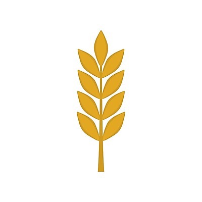 EPS 해외이미지 식물 디자인 음식 빵 컨셉 잎 밭 농업 일러스트 자연 휴가 건강 씨앗 그래픽 농작물 농장 노란색 수확 신선 황금 플랫 상품 낟알 시리얼 밀 심볼 사인 유기농 보리 귀 섬유 스파이크 내추럴 알레르기 고립 밭일 숙성 엘리먼트 이스라엘 호밀 귀리 해외202004 해외일러스트 웰빙 산업 컬러 곡류 신체부위 직물 질병 생태계 서아시아 파일형식 벡터 이미지허브